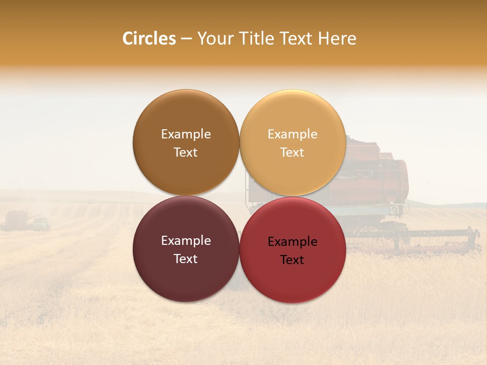 Seed Summer Truck PowerPoint Template