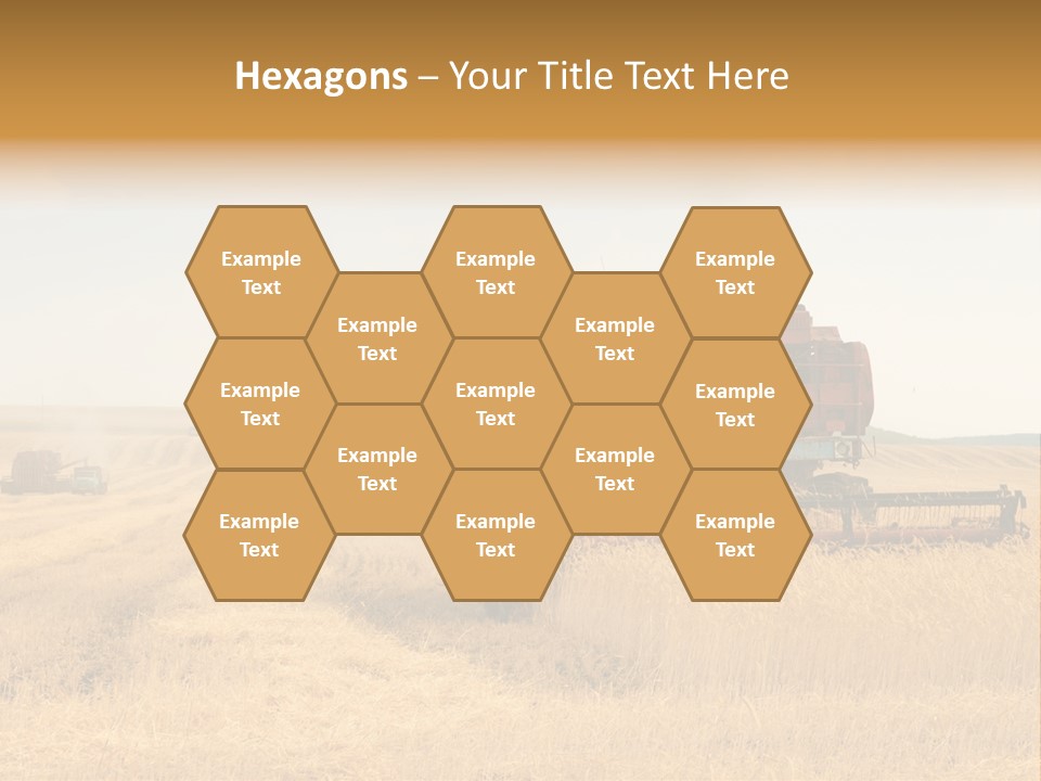 Seed Summer Truck PowerPoint Template