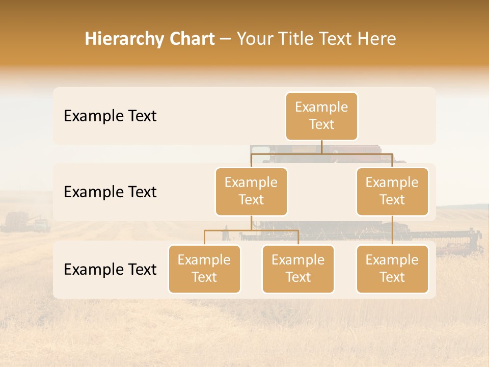 Seed Summer Truck PowerPoint Template