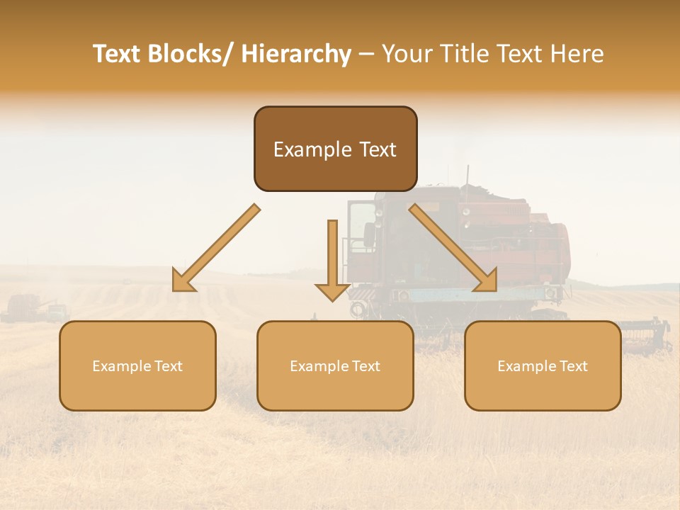 Seed Summer Truck PowerPoint Template