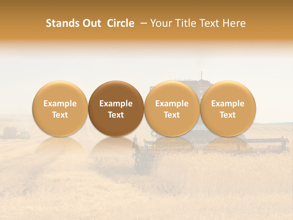 Seed Summer Truck PowerPoint Template