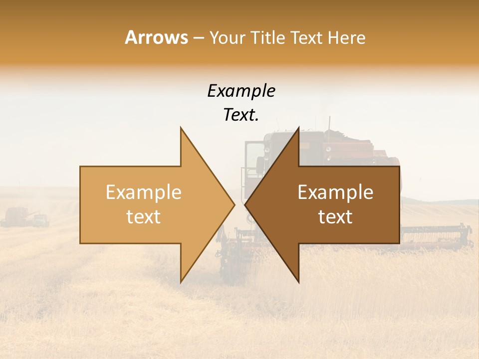 Seed Summer Truck PowerPoint Template