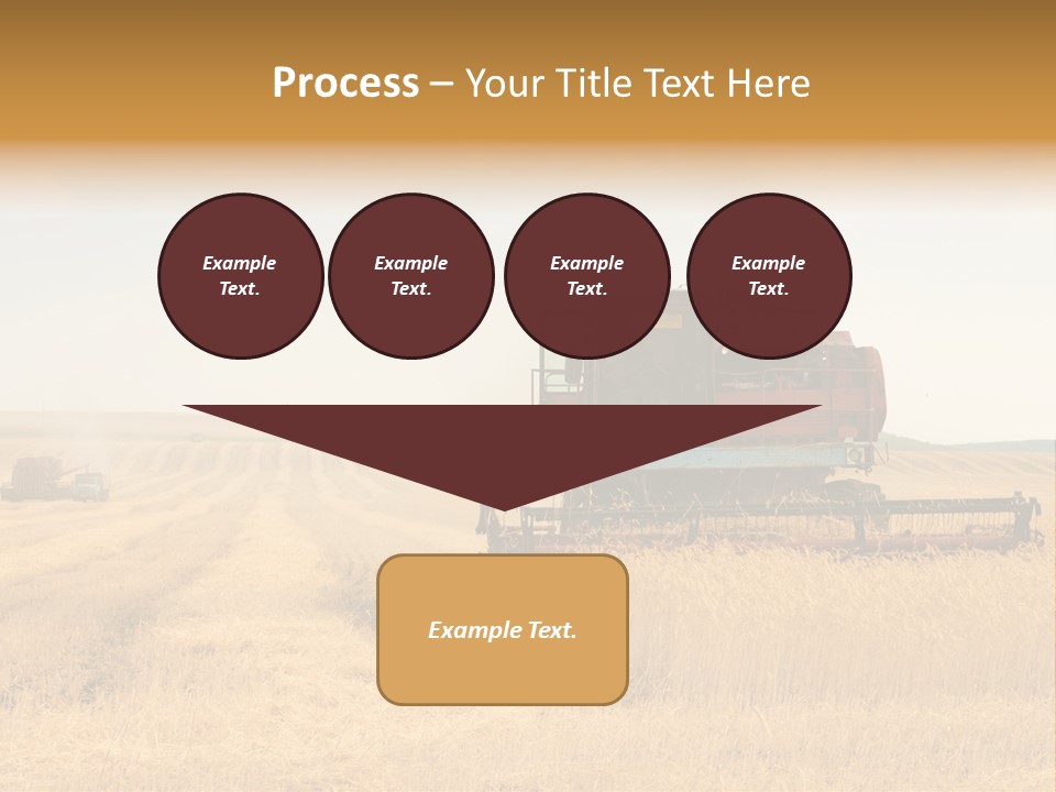 Seed Summer Truck PowerPoint Template