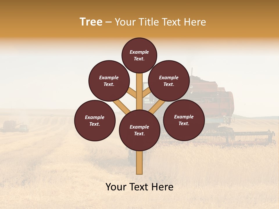 Seed Summer Truck PowerPoint Template