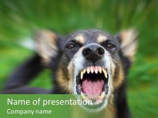 Defender Aggressive Aggression PowerPoint Template