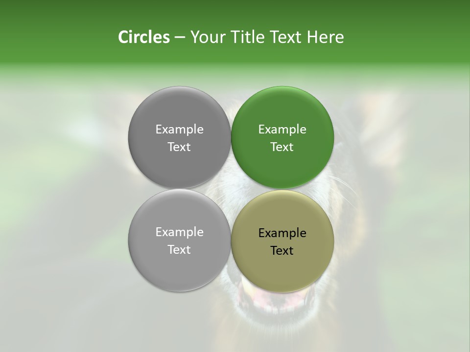 Defender Aggressive Aggression PowerPoint Template