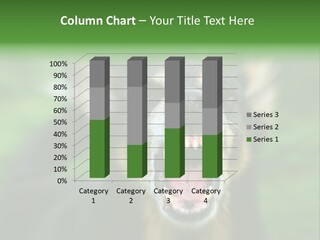 Defender Aggressive Aggression PowerPoint Template