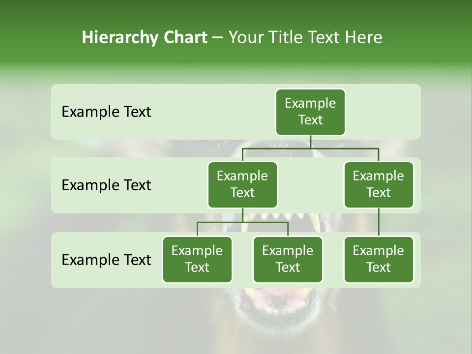 Defender Aggressive Aggression PowerPoint Template