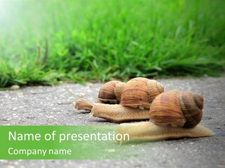 Lane Track Active PowerPoint Template