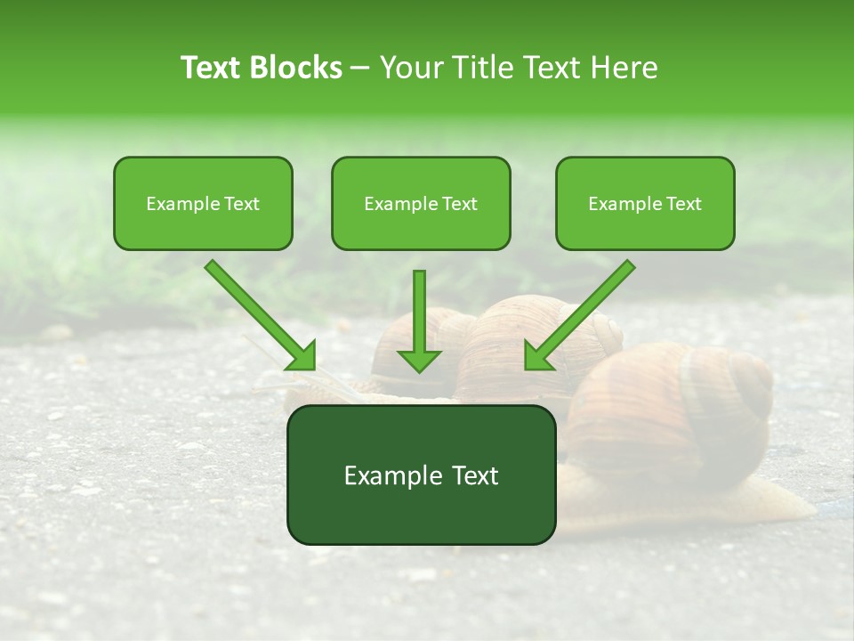 Lane Track Active PowerPoint Template