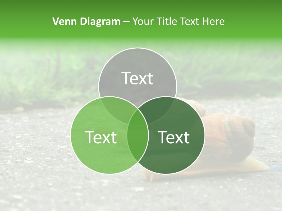 Lane Track Active PowerPoint Template