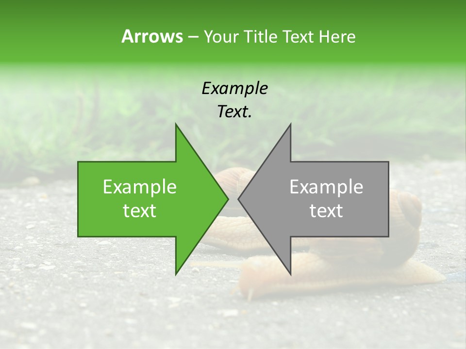 Lane Track Active PowerPoint Template