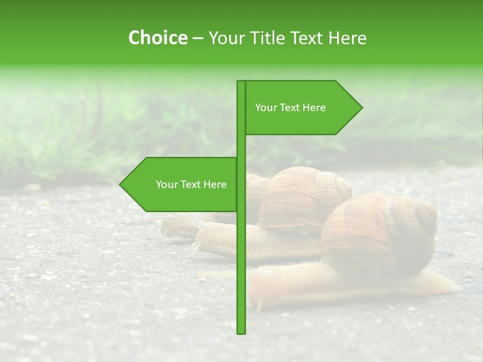 Lane Track Active PowerPoint Template