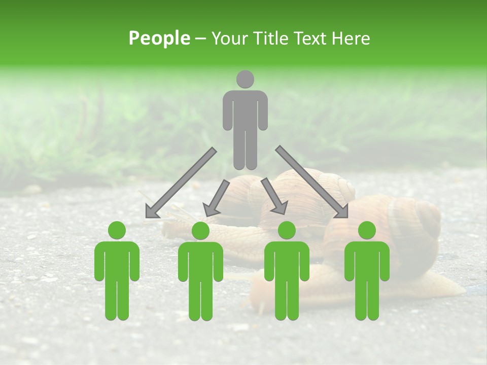 Lane Track Active PowerPoint Template