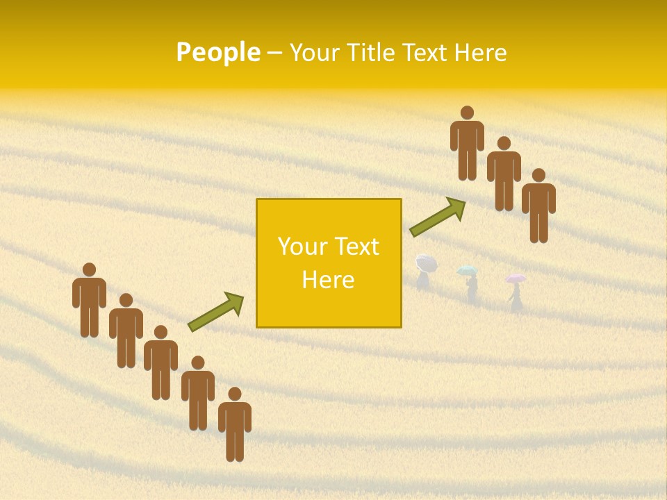 Plantation Asia Lao PowerPoint Template