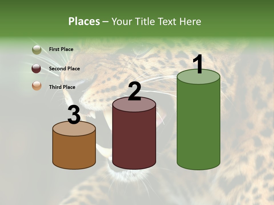 Whiskers Dangerous Mammal PowerPoint Template