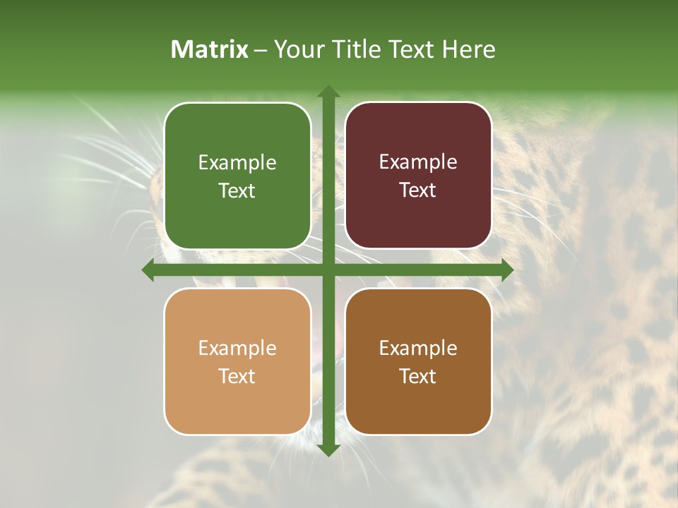 Whiskers Dangerous Mammal PowerPoint Template