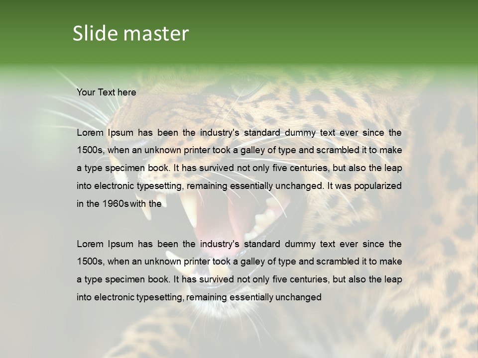 Whiskers Dangerous Mammal PowerPoint Template