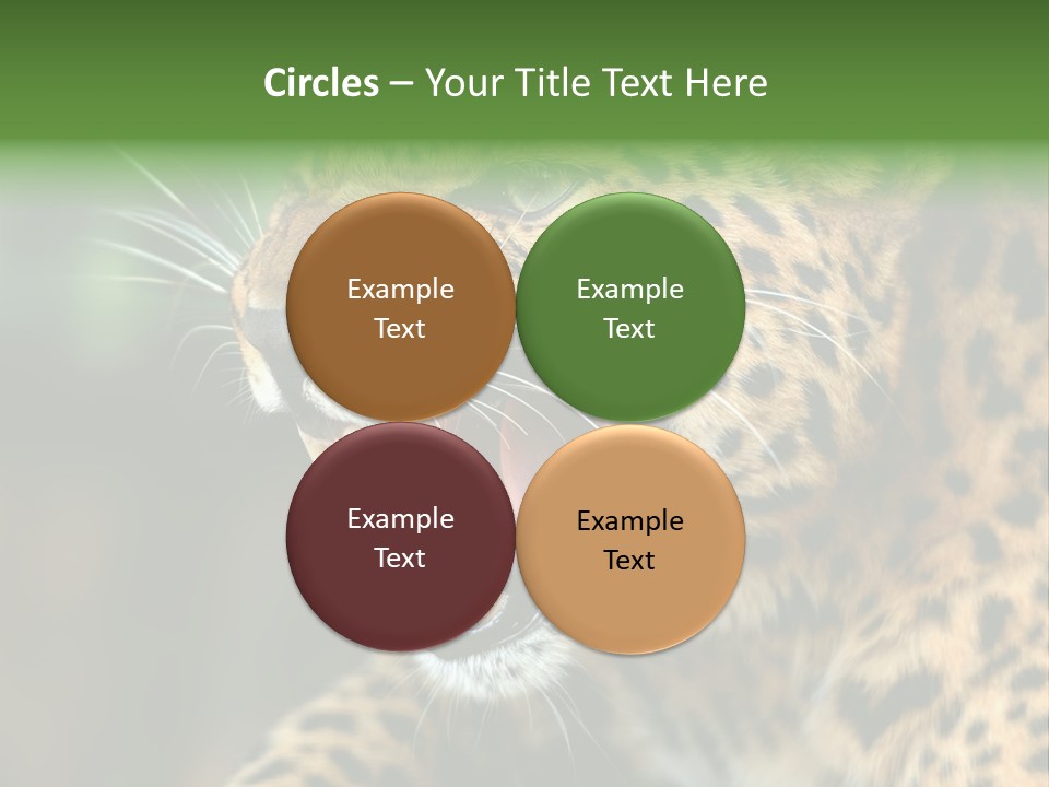 Whiskers Dangerous Mammal PowerPoint Template