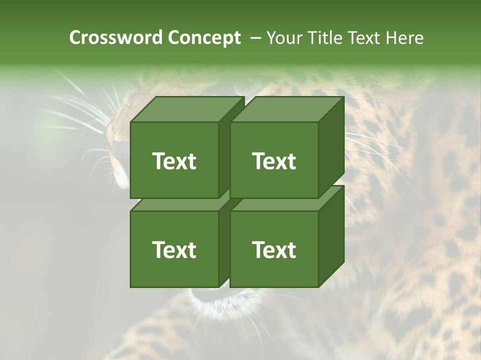 Whiskers Dangerous Mammal PowerPoint Template