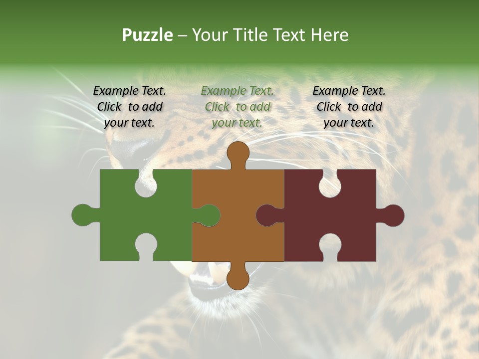 Whiskers Dangerous Mammal PowerPoint Template