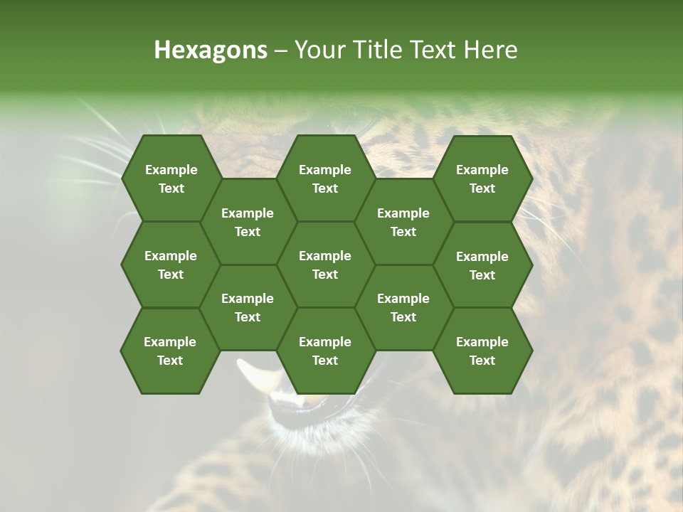 Whiskers Dangerous Mammal PowerPoint Template