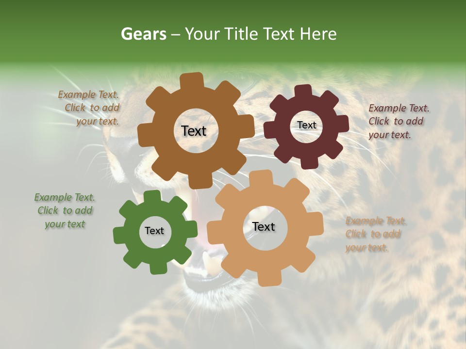 Whiskers Dangerous Mammal PowerPoint Template