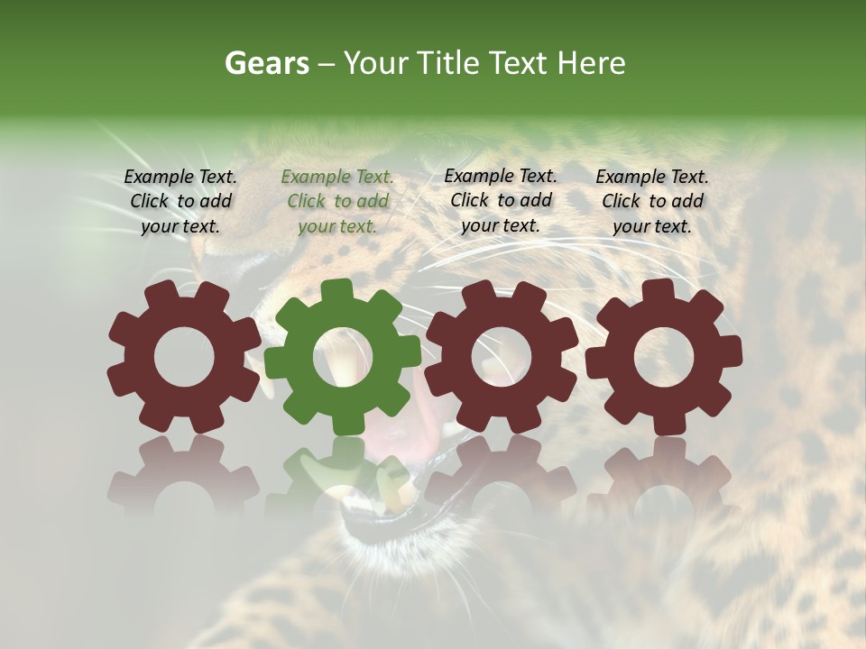 Whiskers Dangerous Mammal PowerPoint Template