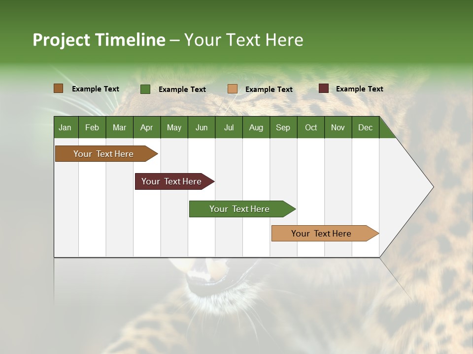 Whiskers Dangerous Mammal PowerPoint Template