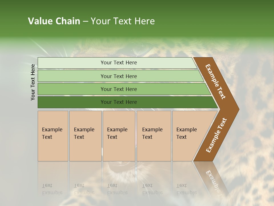 Whiskers Dangerous Mammal PowerPoint Template