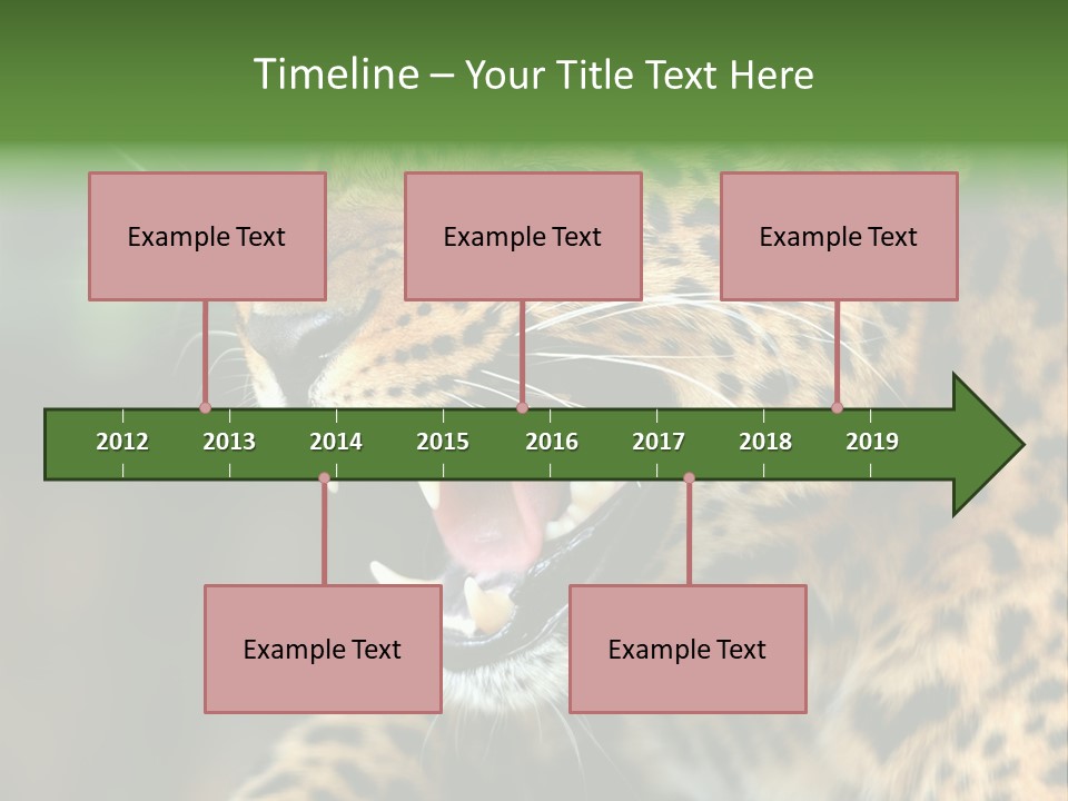 Whiskers Dangerous Mammal PowerPoint Template