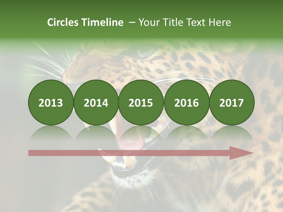 Whiskers Dangerous Mammal PowerPoint Template