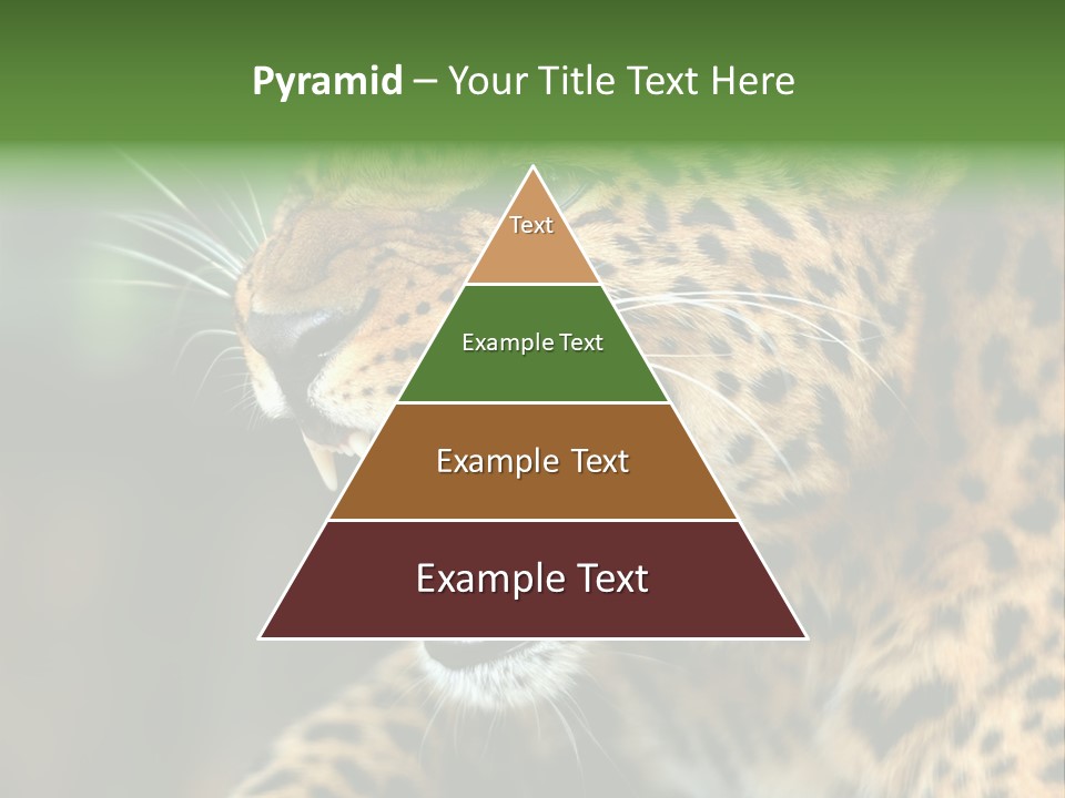 Whiskers Dangerous Mammal PowerPoint Template
