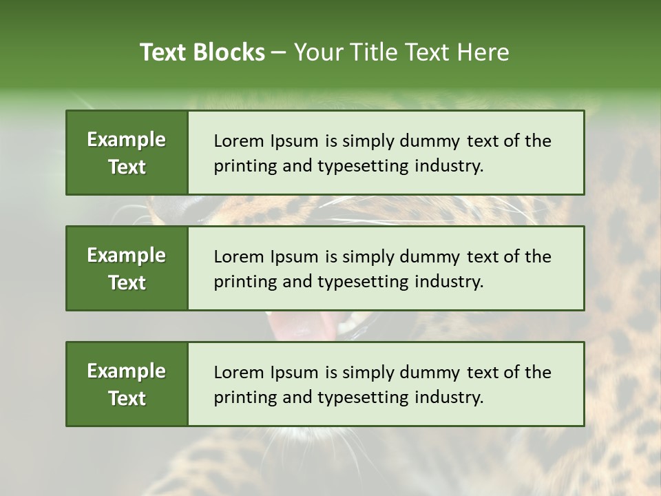 Whiskers Dangerous Mammal PowerPoint Template