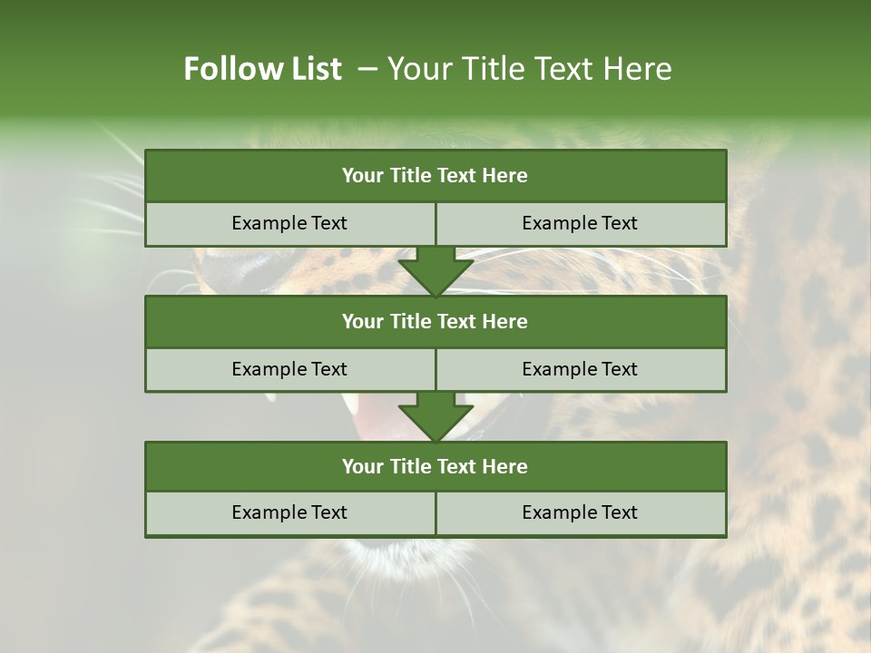Whiskers Dangerous Mammal PowerPoint Template