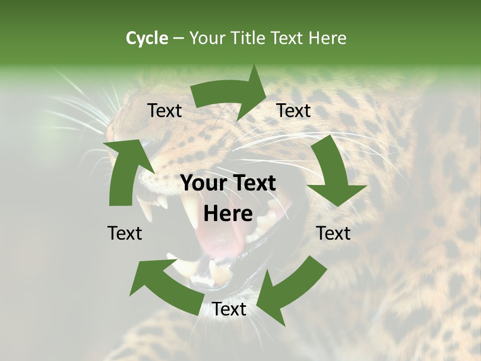 Whiskers Dangerous Mammal PowerPoint Template