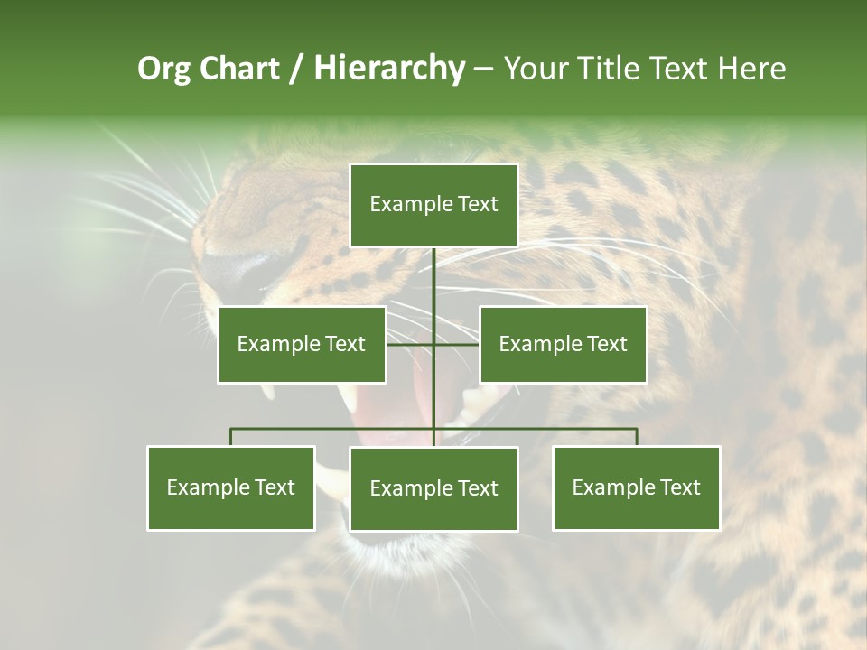 Whiskers Dangerous Mammal PowerPoint Template