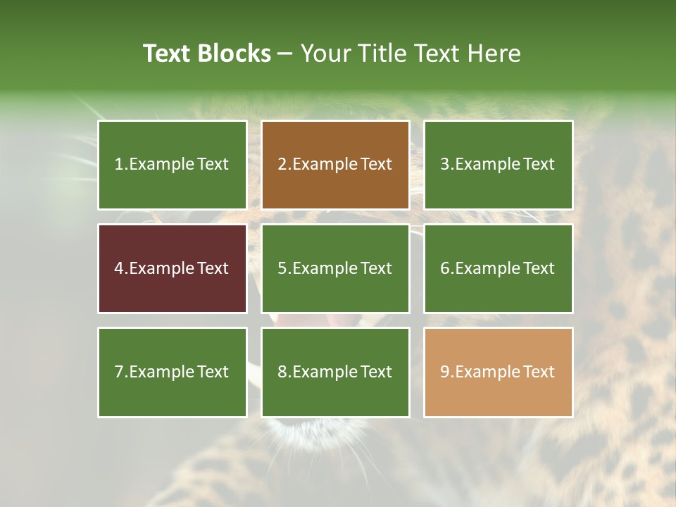 Whiskers Dangerous Mammal PowerPoint Template