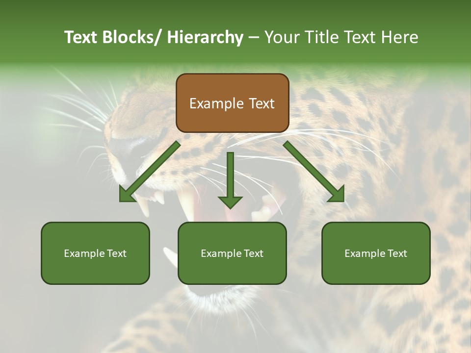 Whiskers Dangerous Mammal PowerPoint Template