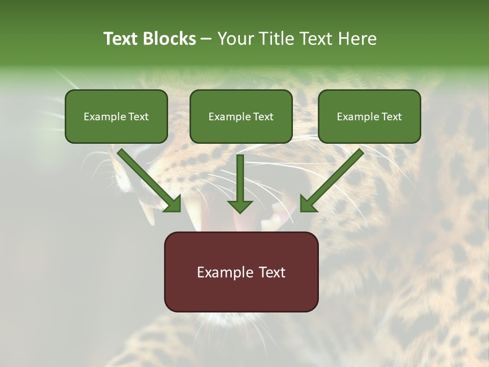 Whiskers Dangerous Mammal PowerPoint Template