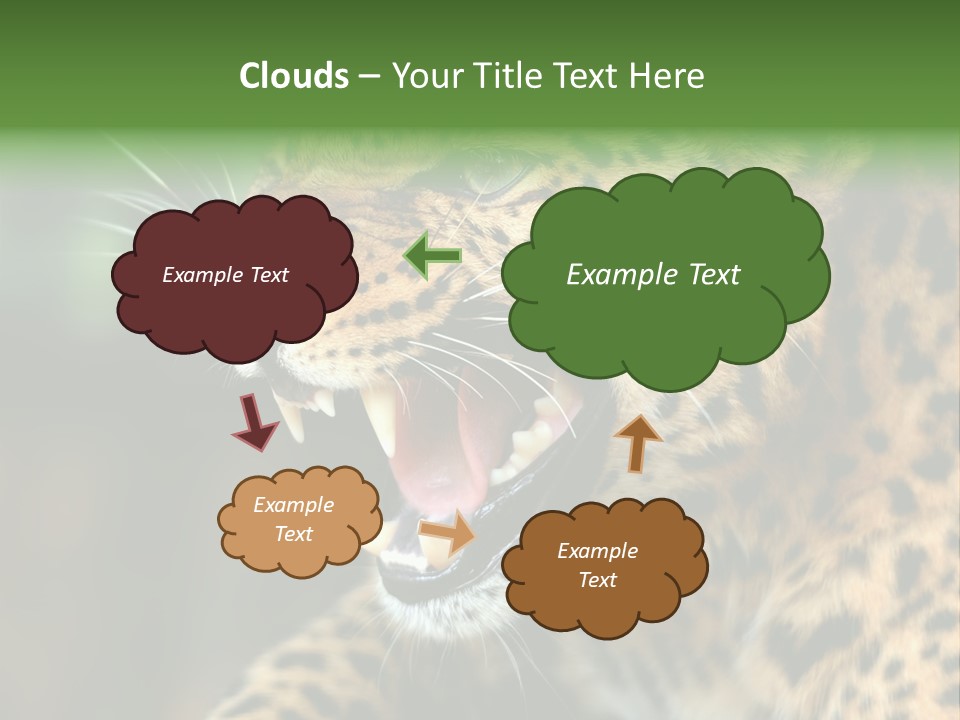 Whiskers Dangerous Mammal PowerPoint Template
