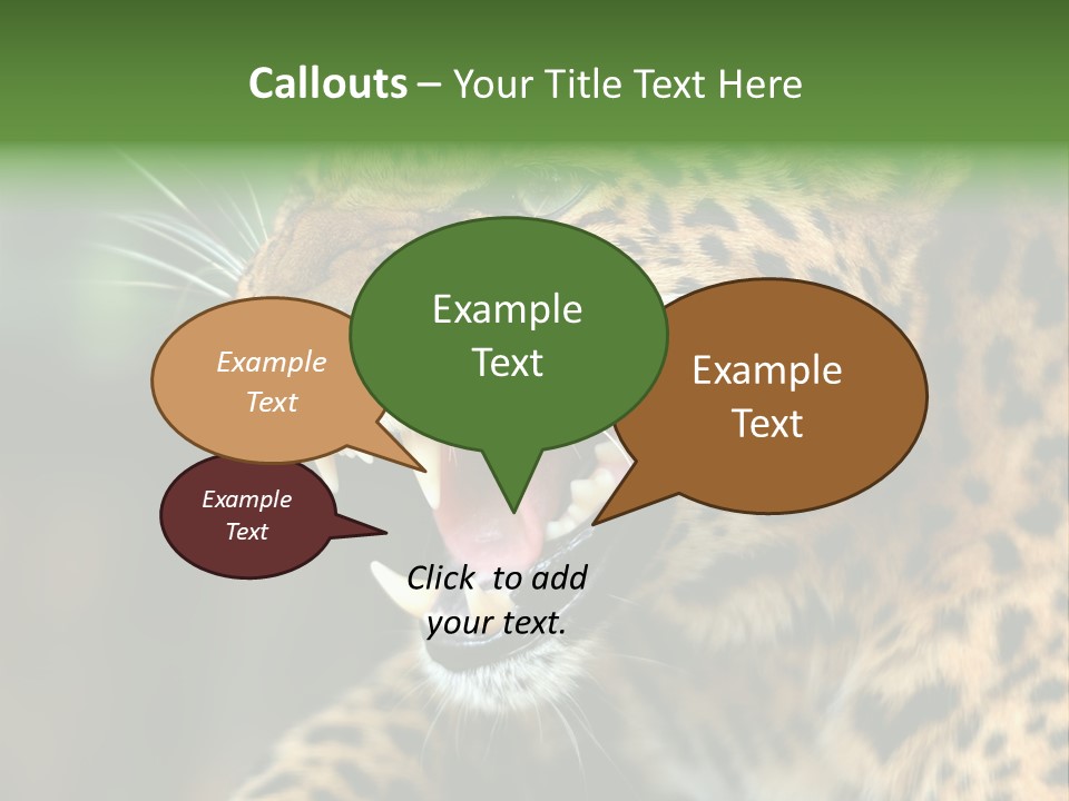 Whiskers Dangerous Mammal PowerPoint Template