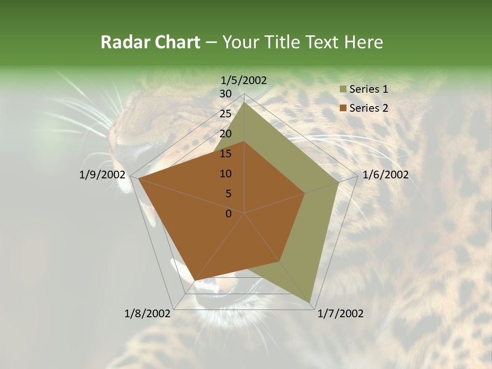Whiskers Dangerous Mammal PowerPoint Template