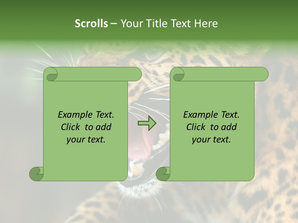 Whiskers Dangerous Mammal PowerPoint Template