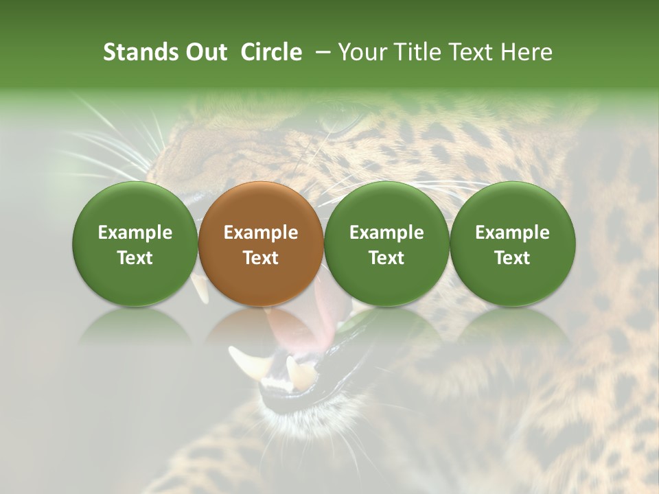 Whiskers Dangerous Mammal PowerPoint Template