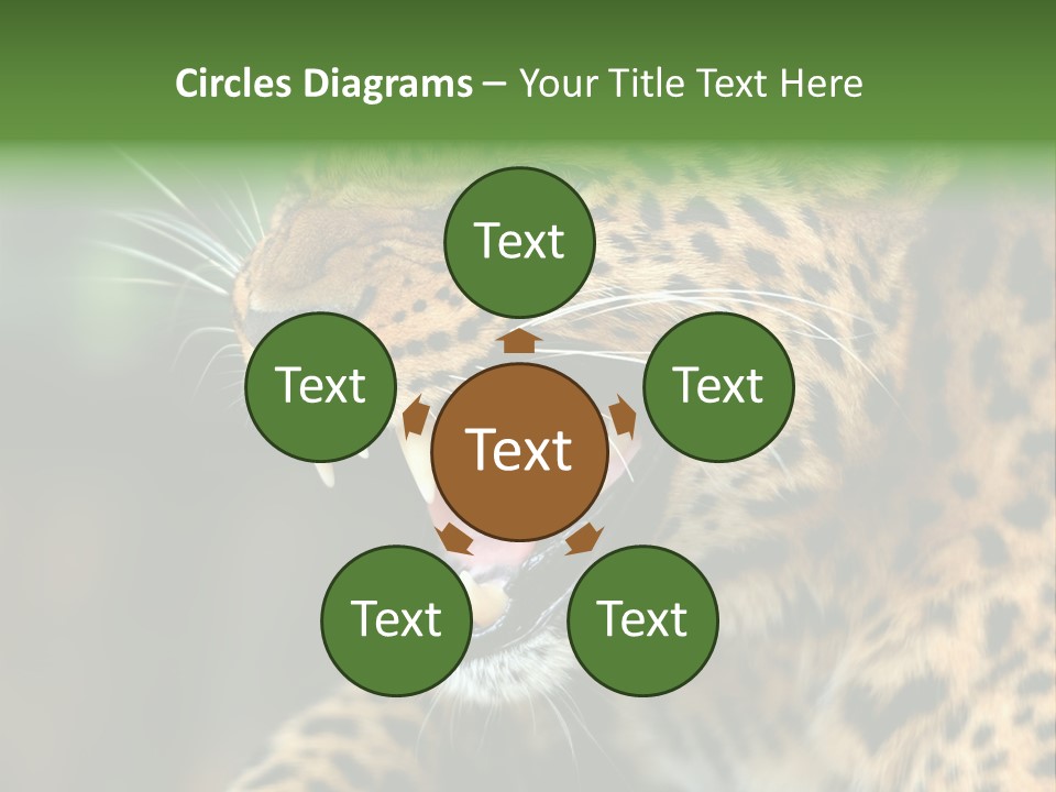 Whiskers Dangerous Mammal PowerPoint Template