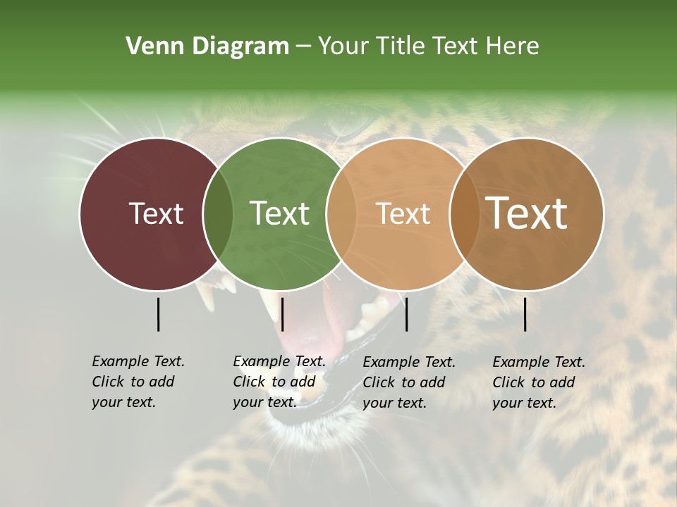 Whiskers Dangerous Mammal PowerPoint Template