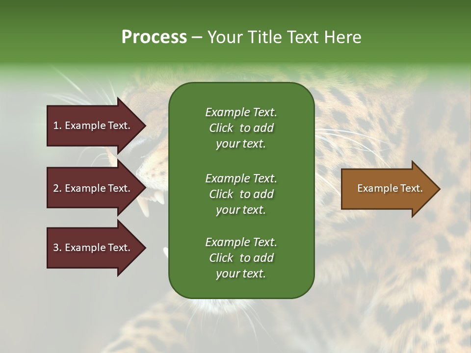 Whiskers Dangerous Mammal PowerPoint Template