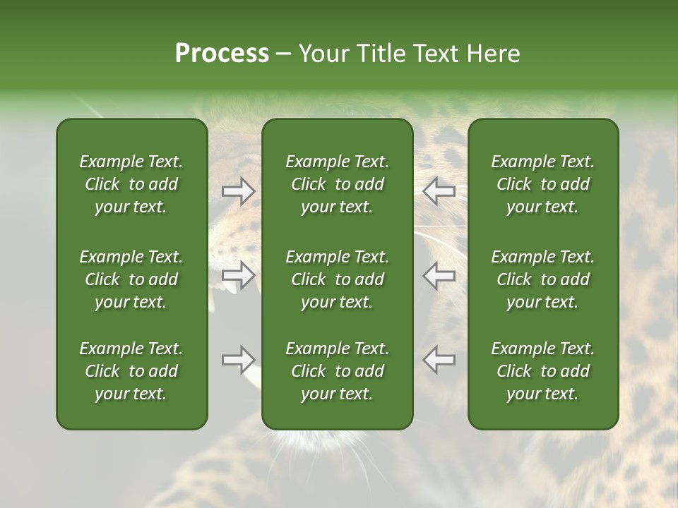 Whiskers Dangerous Mammal PowerPoint Template