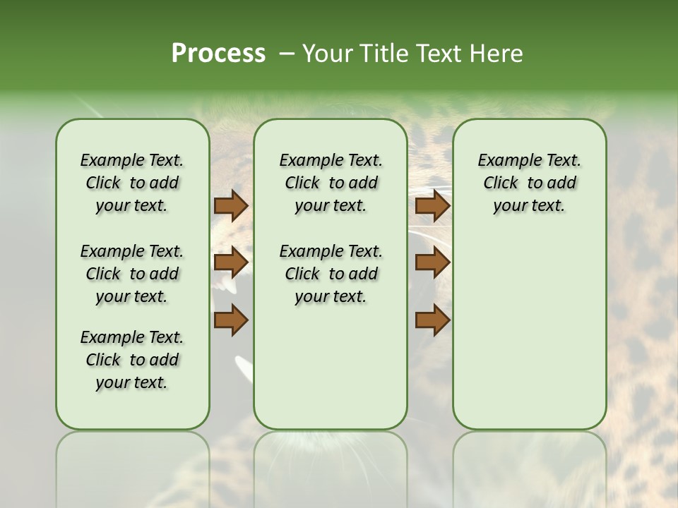 Whiskers Dangerous Mammal PowerPoint Template